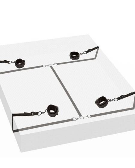 CALEXOTICS - BOUNDLESS ROTE ZURÜCKHALTUNG