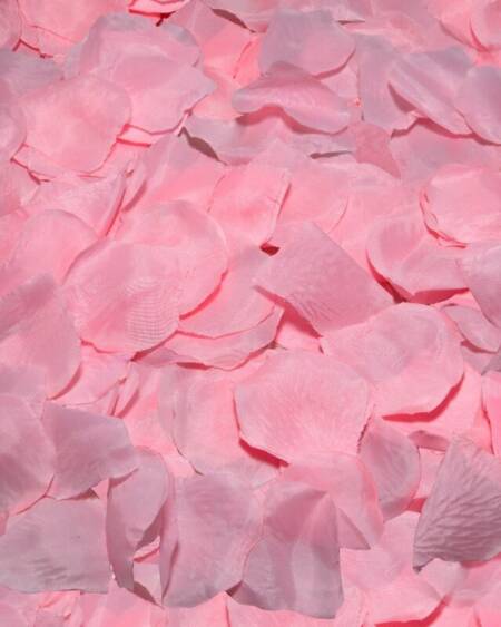 DIABLO PICANTE - 100 ROSA BLÜTENBLTTER