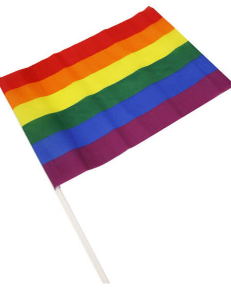 PRIDE - LGBT-FLAGGE MITTELGROSSES WIMPEL