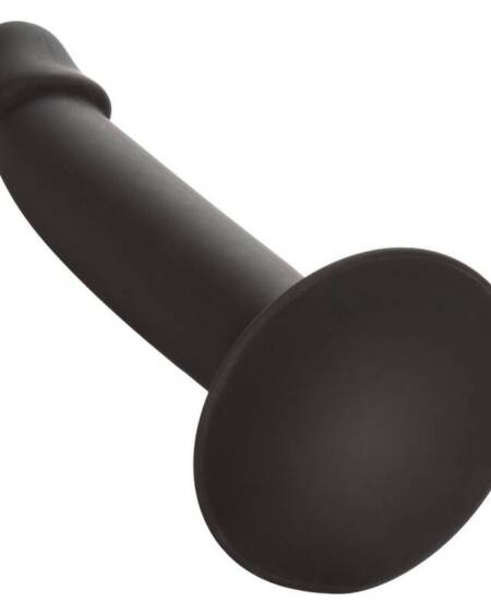 CALEXOTICS - SLIM ANAL STUD