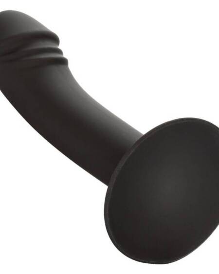 CALEXOTICS - GEBOGENER ANALSTUDIE