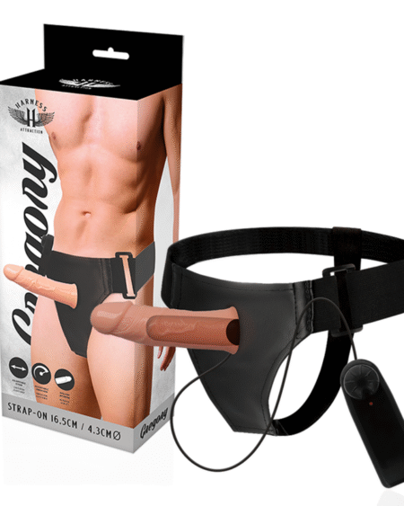 HARNESS ATTRACTION - GREGORY HOLLOW RNES MIT VIBRATOR 16.5 CM -O- 4.3 CM