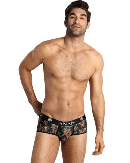 ANAIS MEN - POWER BRIEF L