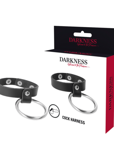 DARKNESS - METALLRING FÜR PENIS UND HODEN