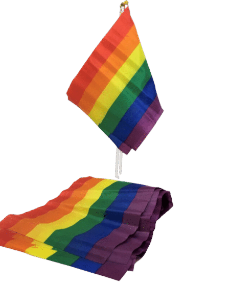 PRIDE - LGBT-FLAGGE, KLEINE FLAGGE, BANNER