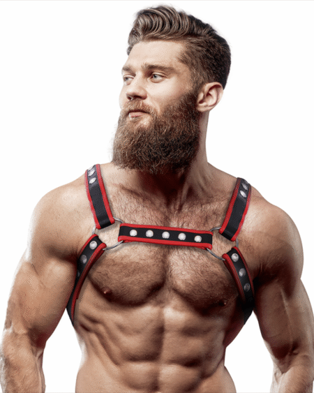 FETISH SUBMISSIVE ATTITUDE - BRUST-BULLDOG-GESCHIRR AUS ÖKOLEDER FÜR HERREN, SCHWARZ/ROT