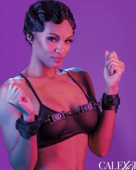 CALEXOTICS - EUPHORIA HANDSCHELLEN