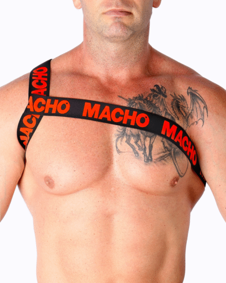 MACHO - RÖMISCHES GESCHIRR ROT L/XL