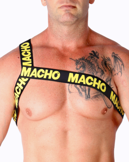 MACHO - RÖMISCHES GESCHIRR GELB S/M