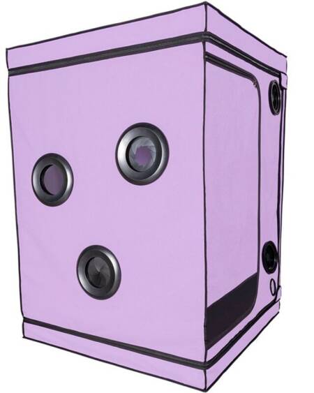 SECRET DOME - KINK CLUB CABIN SCANDALE LILA