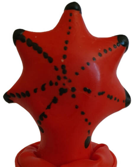 CONDOMERIE - HANDBEMALTE NEUHEITSKONDOME SEESTERN