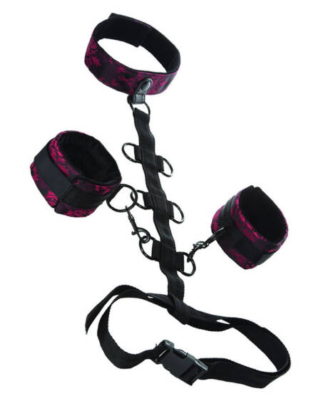 CALEXOTICS - SCANDAL COMPORAL UNTERSTÜTZUNG MIT HALS