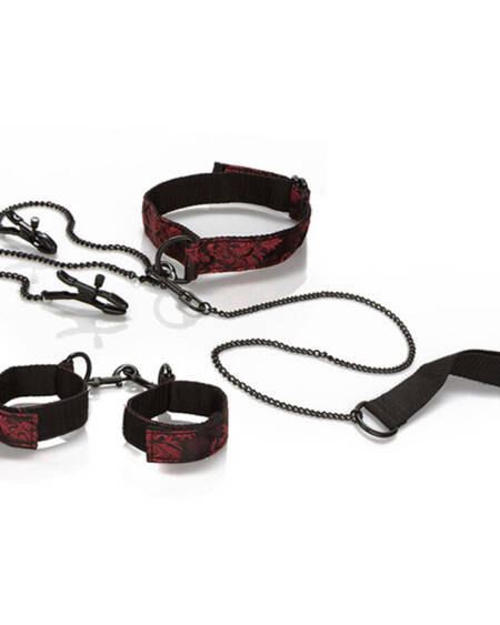 CALEXOTICS - SCANDAL EINREICHUNGSKIT