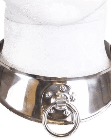 METAL HARD - RÜCKHALTEHALSBAND MIT RING