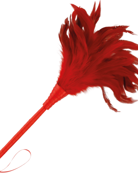 DARKNESS - ROTER STIMULIERENDER STIFT 24CM