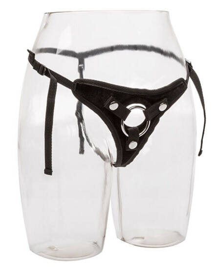 CALEXOTICS - IHR KÖNIGLICHES GESCHIRR DER PRINZESSIN IN EINER GRÖSSE