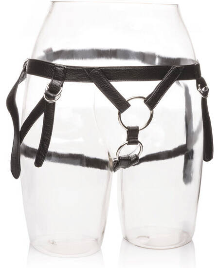 CALEXOTICS - IHR KÖNIGLICHES GESCHIRR. DIE DUTCHESS. EINE GRÖSSE