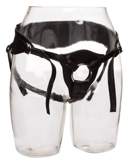 CALEXOTICS - HERE ROYAL HARNESS THE QUEEN IN EINER GRÖSSE